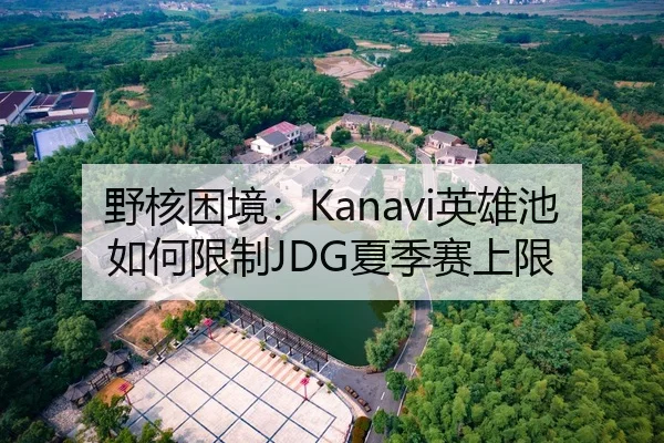 野核困境：Kanavi英雄池如何限制JDG夏季赛上限