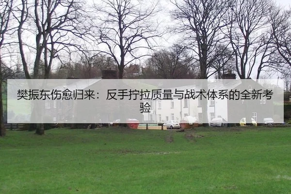 樊振东伤愈归来：反手拧拉质量与战术体系的全新考验