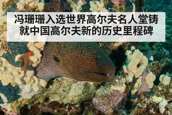 冯珊珊入选世界高尔夫名人堂铸就中国高尔夫新的历史里程碑