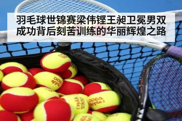 羽毛球世锦赛梁伟铿王昶卫冕男双成功背后刻苦训练的华丽辉煌之路